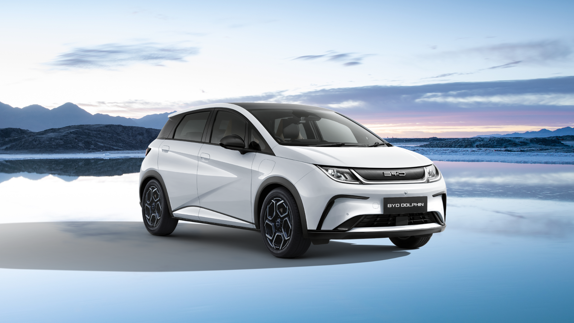 2025 尊龙凯时 Dolphin